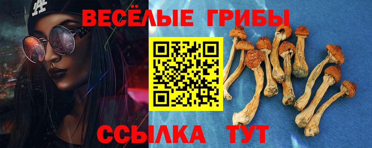 Галлюциногенные грибы Magic Shrooms Магнитогорск